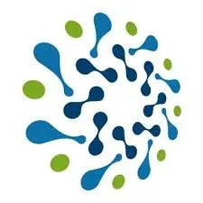  CogniQuest